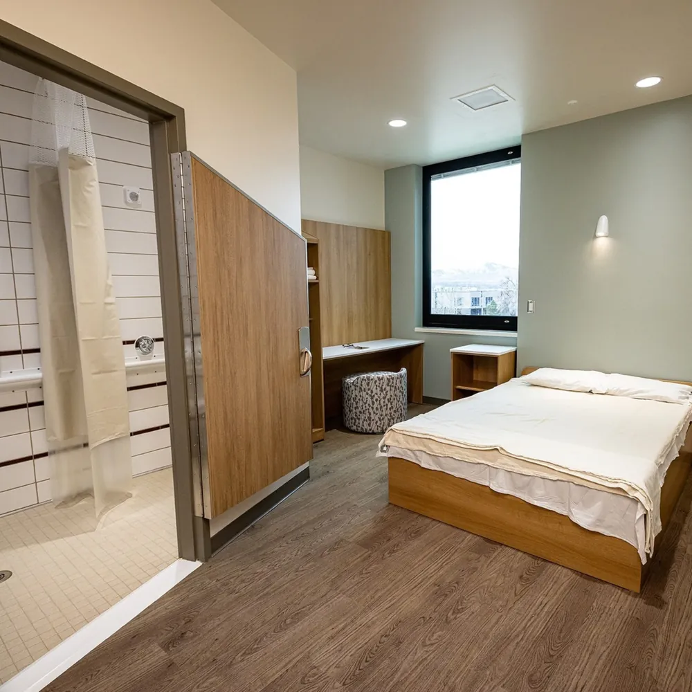Inpatient Psychiatric Care