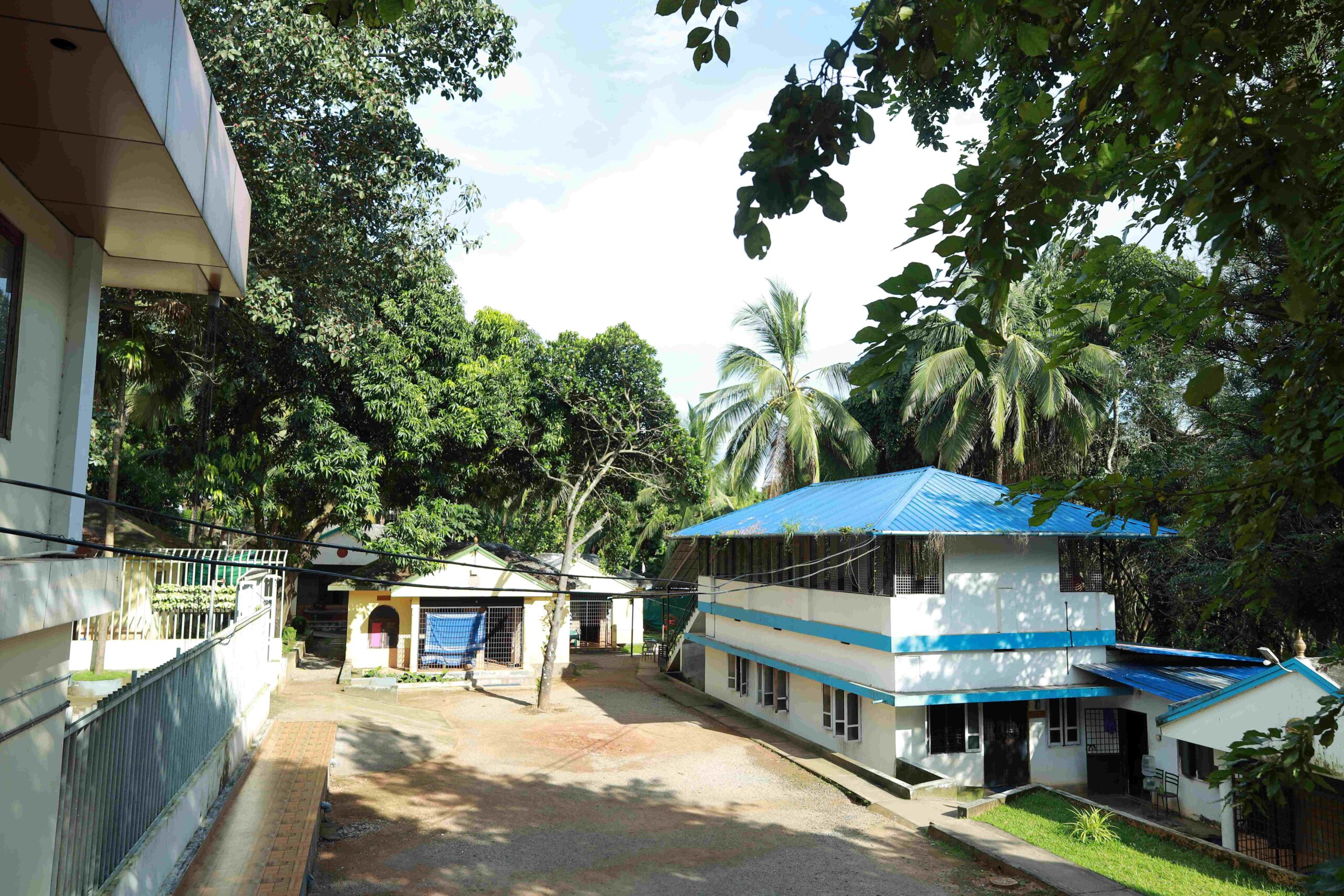 Cottages and wards at SIMHAR
