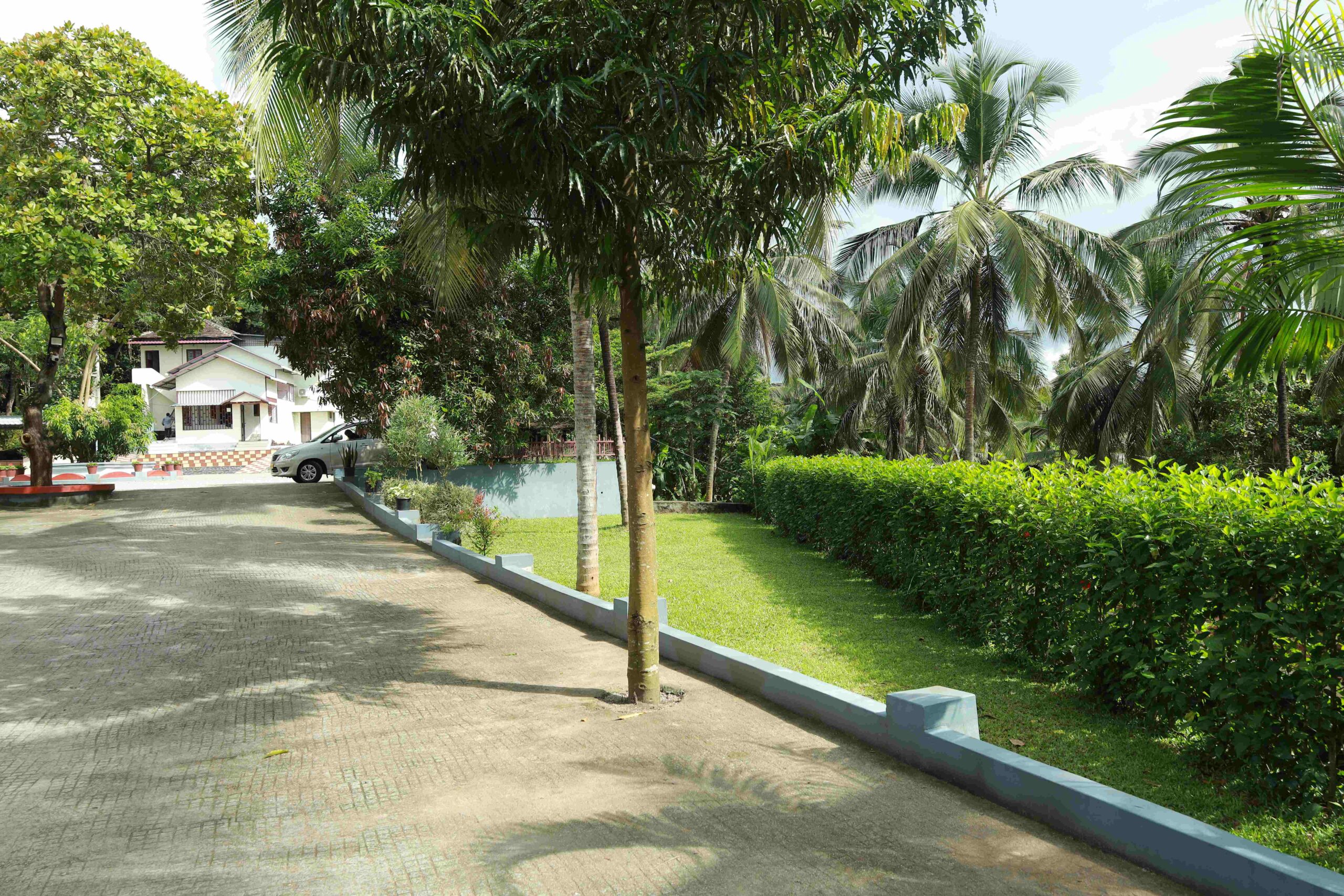 Campus garden
